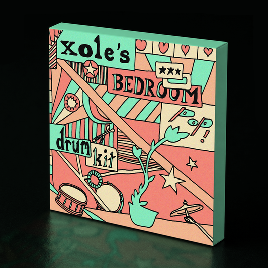 xole's bedroom pop drum kit